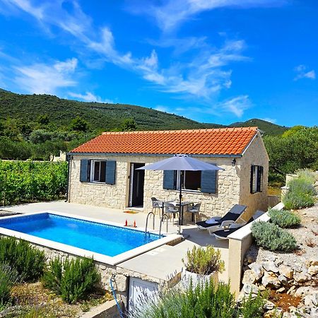 Villa Stone House In Vineyard Račišće Esterno foto