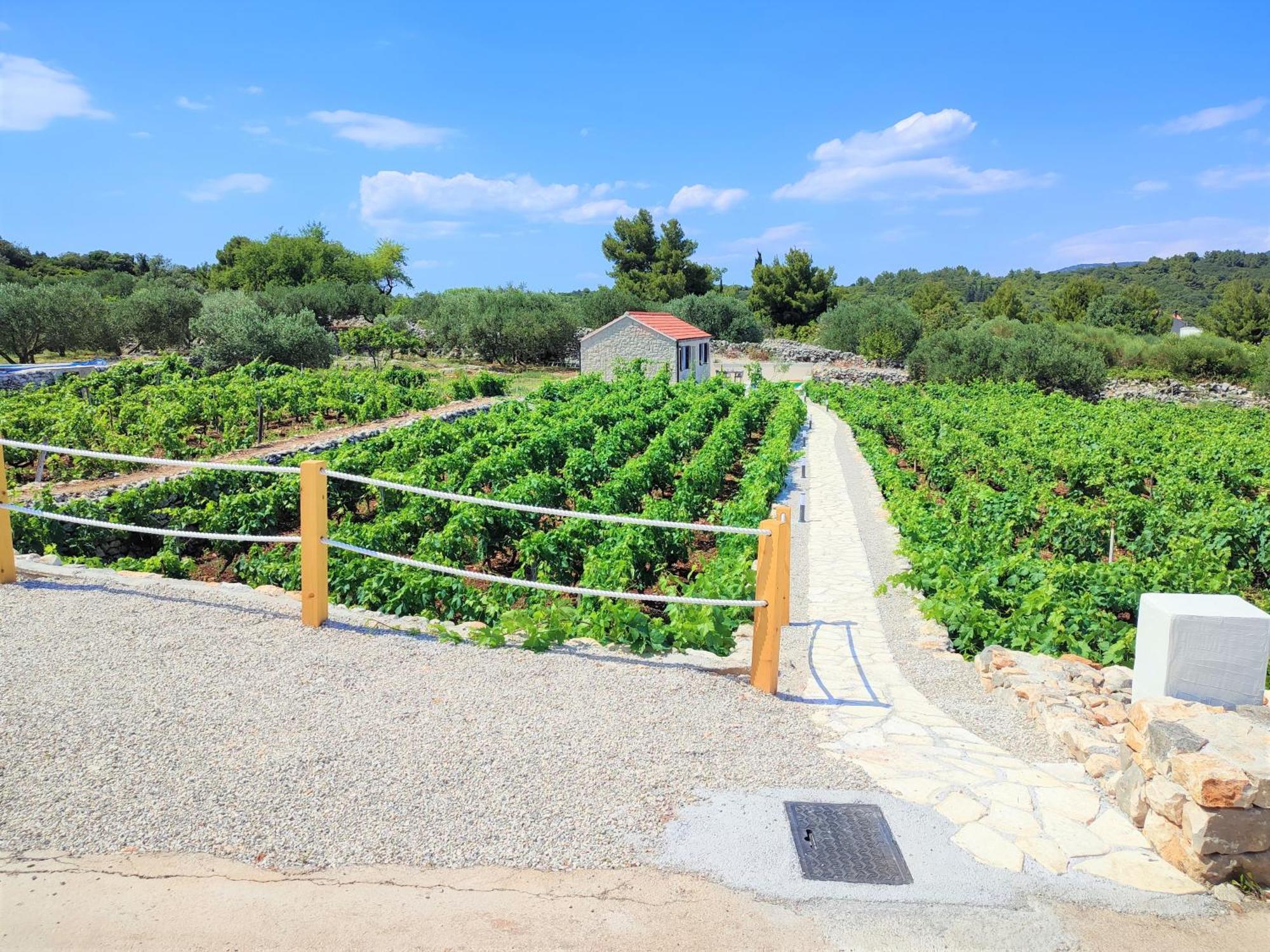 Villa Stone House In Vineyard Račišće Esterno foto