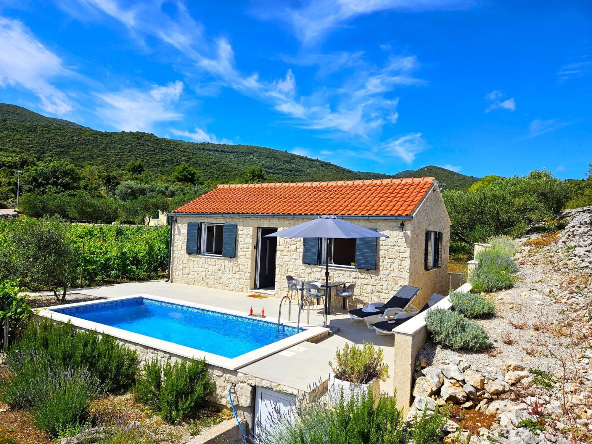 Villa Stone House In Vineyard Račišće Esterno foto