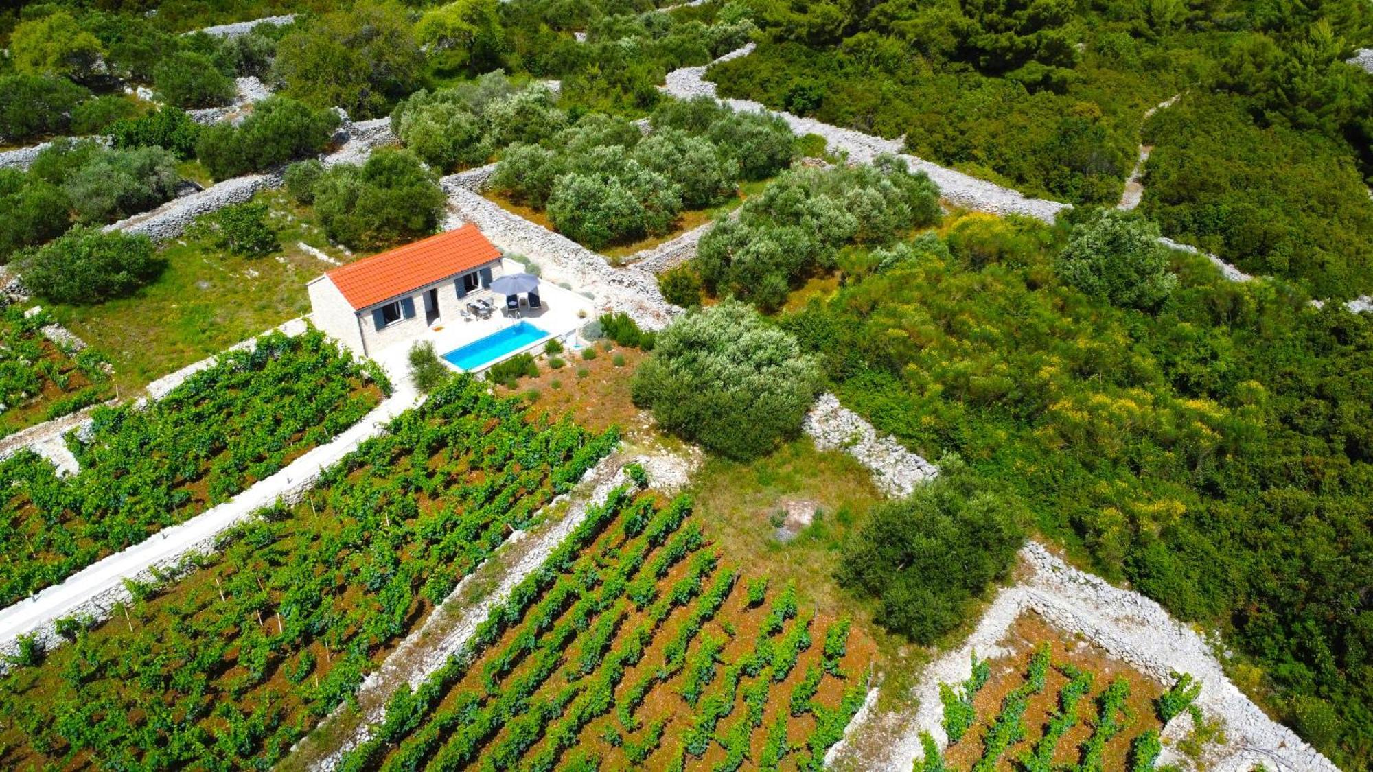 Villa Stone House In Vineyard Račišće Esterno foto