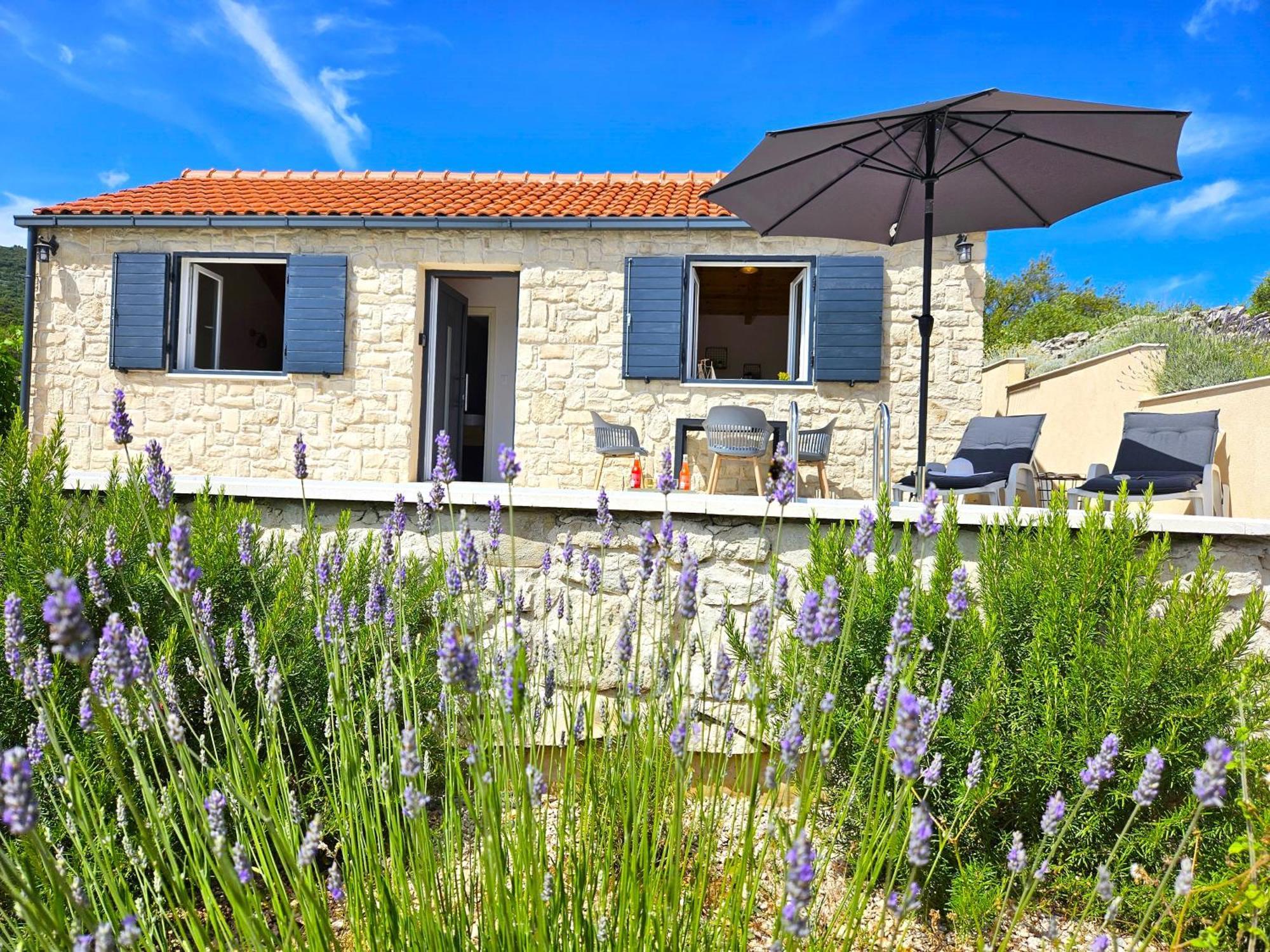Villa Stone House In Vineyard Račišće Esterno foto