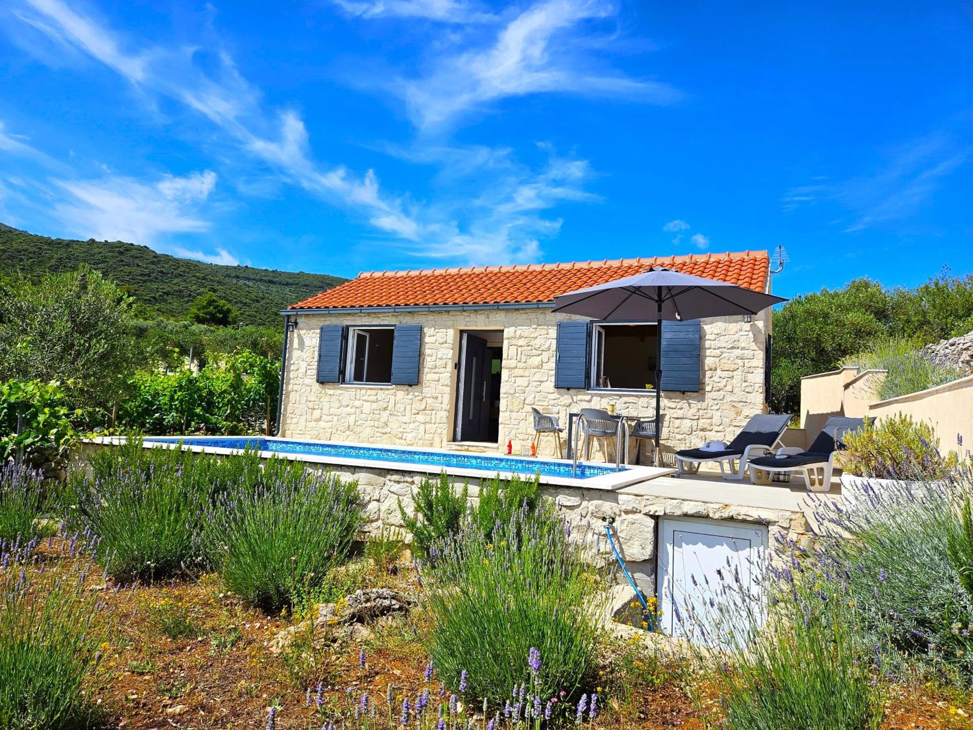 Villa Stone House In Vineyard Račišće Esterno foto
