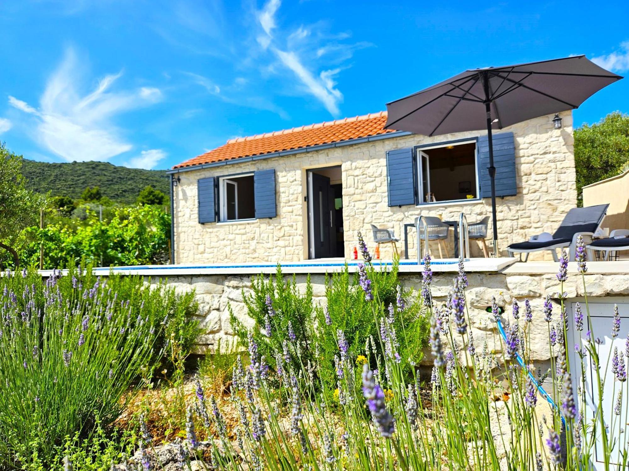 Villa Stone House In Vineyard Račišće Esterno foto